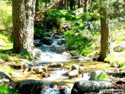 Canal Barranca_Cuerda Cabrillas; Sierra de Madrid, Guadarrama, Navacerrada trekking